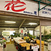 恵農園